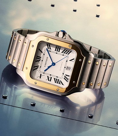 Cartier - Santos image