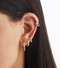 Earrings image