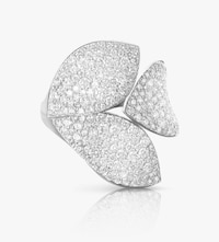 Pasquale Bruni Rings image