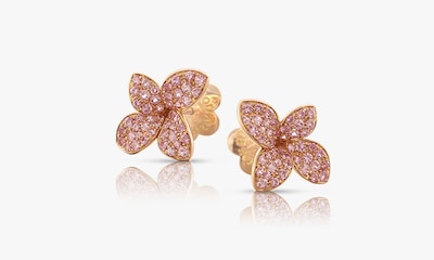 Pasquale Bruni - Petit Garden image