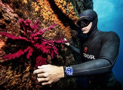 Morgan Bourc'his image